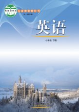 鲁教版五四制七年级下册