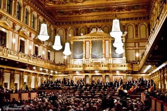 在奥地利维也纳音乐协会金色大厅举行的“维也纳____”，是世界上听众最广泛的音乐会