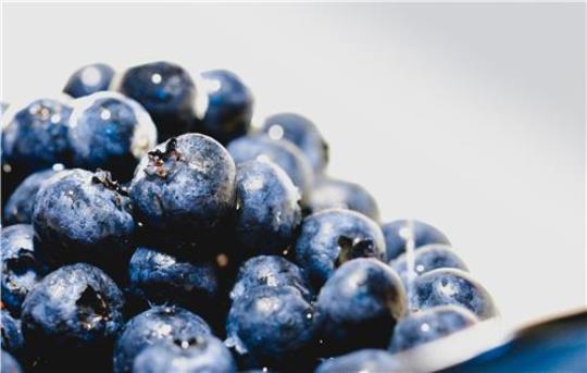 蓝莓李果是什么水果( 和蓝莓毫无关系