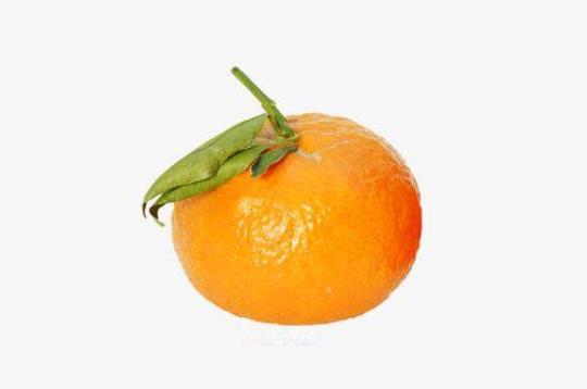 橘子为什么一瓣一瓣的  橘子为什么一瓣一瓣的