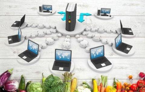 “互联网+”现代农业提出要利用互联网提升农业生产、经营、管理和服务水平