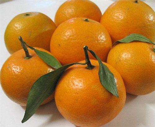 贡柑是指哪种水果  贡柑是指哪种水果 血橙