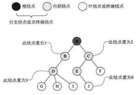 树是结点的集合，它的根结点的数目是（　　）。 树是结点的有限集合