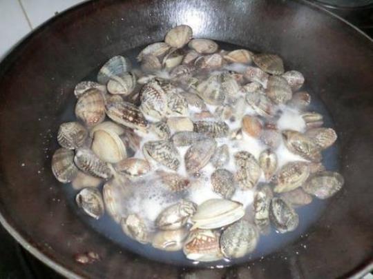 贝壳的做法怎样做好吃  河蚌的家常做法大全