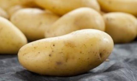 土豆放保鲜一个月会坏吗