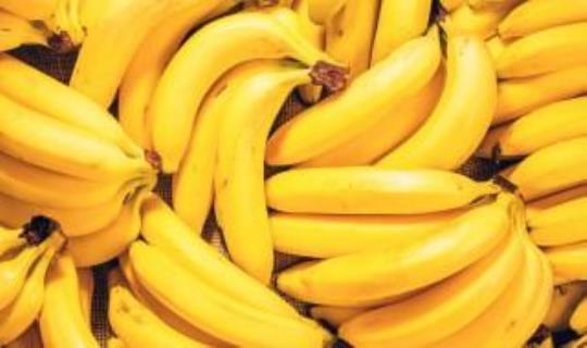 香蕉放冰箱一个月会坏吗