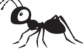 蚁酸对人的危害 黑蚂蚁蚁酸对人的危害