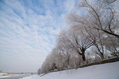 关于形容哈尔滨冬季美景的诗句合集(精选) 一句话形容哈尔滨