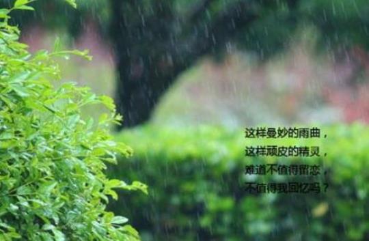 关于下雨天想你的诗句合集(实用) 关于下雨天诗句伤感