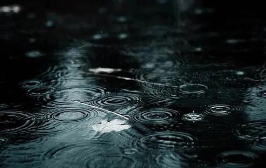 关于微雨心情的句子大全 微雨代表什么心情